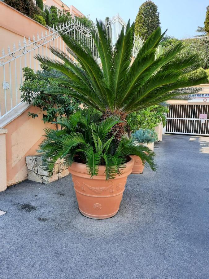 Superbe appartement vue mer av. piscine et tennis Cannes Extérieur photo
